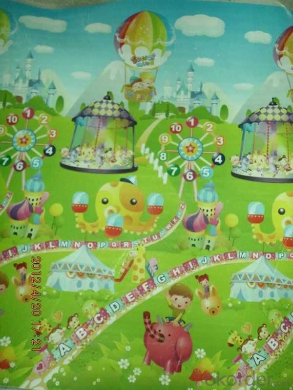 Soften Kid Plastic Play Mat with New Design