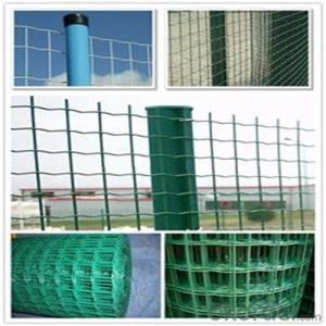 PVC Coated Wire Mesh Black /Yellow/ Green PVC with High Quality