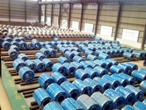 Stainless Steel Coil 304/316 Hot / Cold Rolled  Grade NO.1