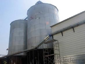 Hopper Bottom Galvanized Grain Steel Silo Used for Storing Rice