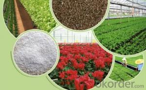 Natural Agricultural Soil improvement vermiculite