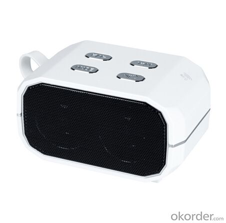 Bluetooth Speaker with FM &TF Card Nfc Function White System 1