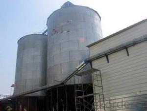 1000Ton-6000Ton Walnut Grain Storage Steel Silo