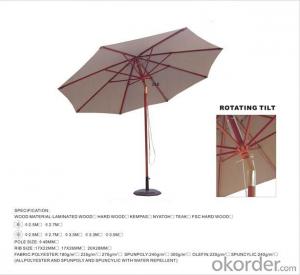 Strong Frame Waterproof Outdoor Umbrella System 1
