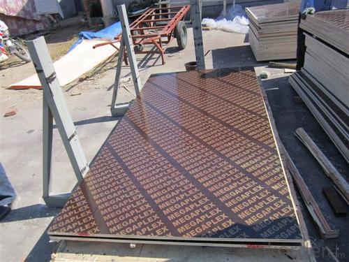 Film Faced Plywood Phenolic Film Faced Plywood Black 18mm System 1