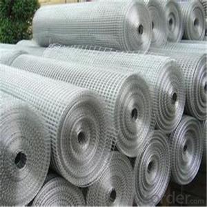 Hot-dip Galvanized Welded Wire Mesh for Building/Construction Material System 1