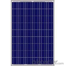 HBM(310) Polycrystalline Silicon Solar Panels
