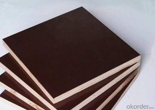 Film Faced Plywood, Marine Plywood for Construction Formwork Hot Sale High Quality System 1