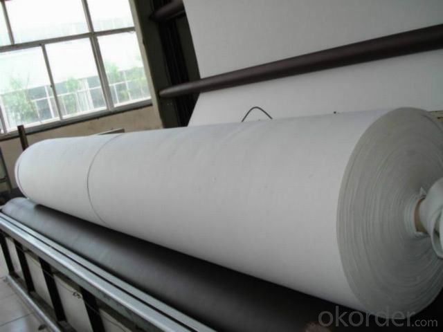 Needle Punched Nonwoven Geotextile for Road and Highway Construction