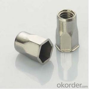 Hex Coupling Nut Construction Formwork Fastener with Low Price