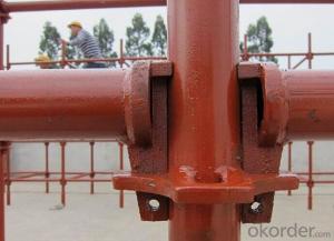 Ringlock Scaffolding System with the Finish of Painting System 1