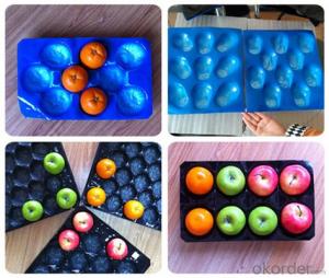 Nested Blister Fruit Packing Tray 22 Cavity