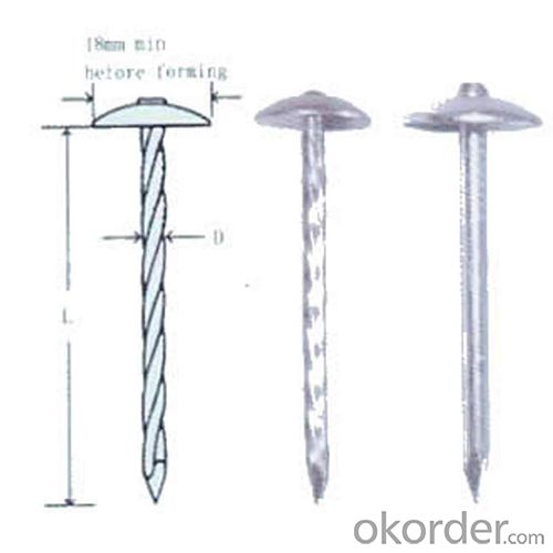 Galvanized Roofing Nail Umbrella Steel Roofing Nails with Low Price System 1