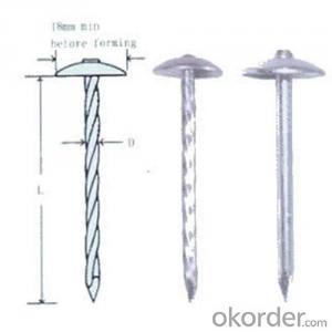 Galvanized Roofing Nail Umbrella Steel Roofing Nails with Low Price