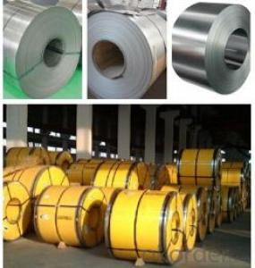 Hot-Rolled&Cold Rolled Stainless Steel Coil (304, 304L, 316, 316L, 321, 310S, 309S) System 1