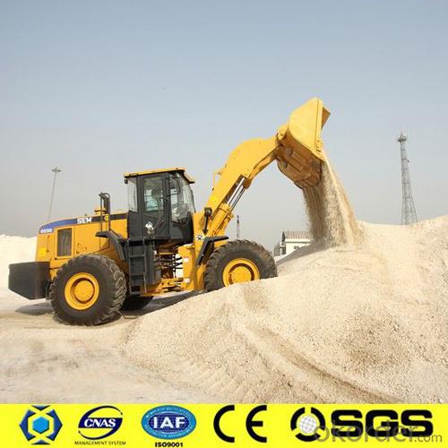 6 ton CE Approved Wheel Loader with Quick Coupler System 1