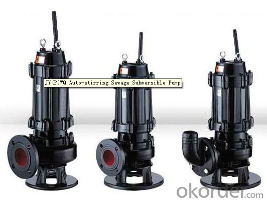Sea Water Lift Pump with Automatic Coupler with WQ Series