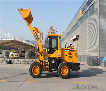 Front Wheel Loader with CE/Articualted Small Wheel Loader ALT930