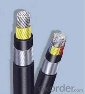 Cu or Al conductor, XLPE Insulated, PVC Sheathed Power Cable System 1