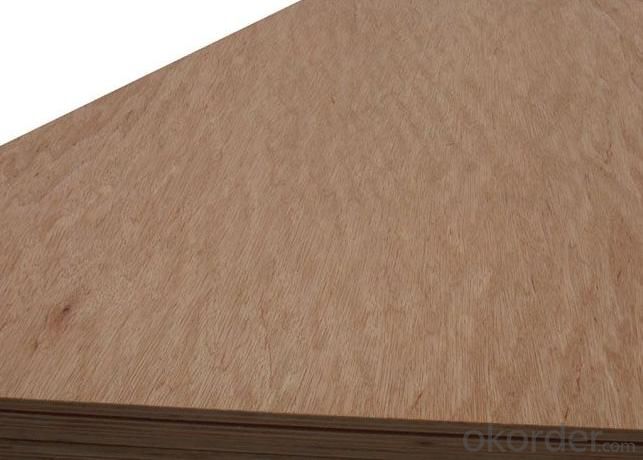 Film Faced Plywood/Waterproof Plywood/Phenolic Plywood with Poplar