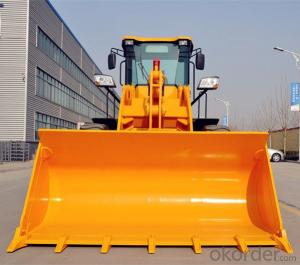 Fork Loader with CE ISO Certificate hot Sale