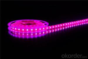 12V Flexible LED strip light waterproof