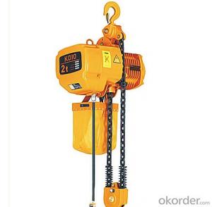 5T*6M DHS Electric Chain hoist highquality System 1