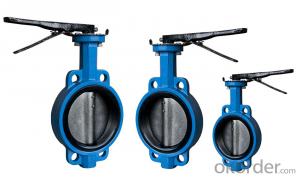 Ductile Iron Butterfly Valve Of Top Quality