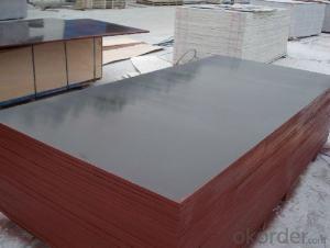 Film faced Plywood for Construction good quality