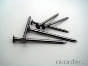 Common Iron Nail for Building Materials with High Quality and Nice Price System 1