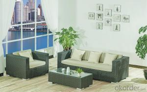 Outdoor Sofa with PE Rattan Aluminum Frame  CMAX-YT006 System 1