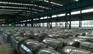 Galvanized Steel Coil Xingri Steel for Construction