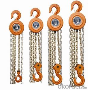 CNBM Hoisting CE 1ton Chain Hoist high quality
