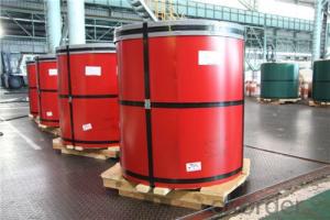 BMP Z80 Rolled Steel Coil for Sandwich Pane