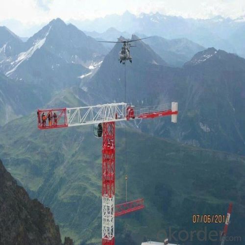 Tower Crane TC6520 Construction Equipment Wholesaler Sale System 1