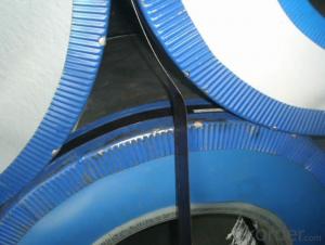 Z48 BMP Prepainted Rolled Steel Coil for Construction