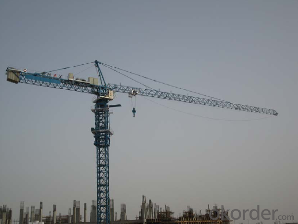 Tower Crane TC6016 Construction Equipment Building Machinery Distributor Sale System 1