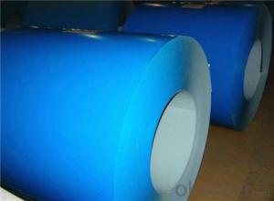 600MM Z75 Rolled Steel Coil for Sandwich Panel System 1