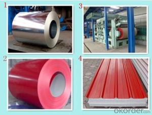 Prepainted Galvanized Steel Coil/PPGI Coils (Printed, Filmed, Matte) System 1