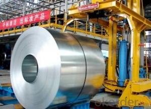 Iron Rolled Steel Coil for Building Materials