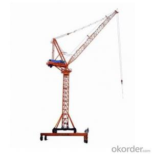Luffing jib crane QD120-8tons TCD4522 highquality System 1
