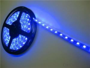 5050 led strip light waterproof colorful super bright SMD 60leds 2 years warranty