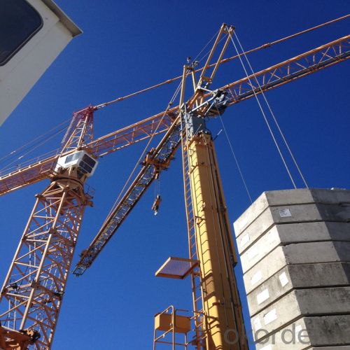 Tower Crane TC5613 Sales Construction Equioment Building Machinery Distributor