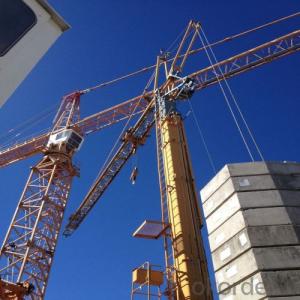 Tower Crane TC4808 Construction Equipment Building Machinery Distributor