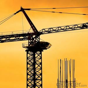 Tower Crane TC7021 Construction Equipment Part Building Machinery Distributor Sales