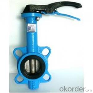 Butterfly Valve with Plastic Handle Made in China on Sale