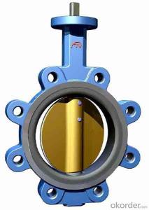 Butterfly Valve  with Good Quality Made in China System 1
