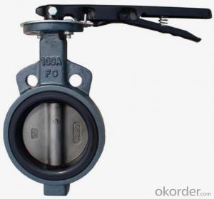 Butterfly Valve Plastic Handle Made in China on Hot Sale System 1