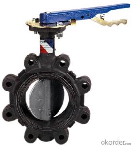 Butterfly Valve  with Plastic Handle Made in China System 1