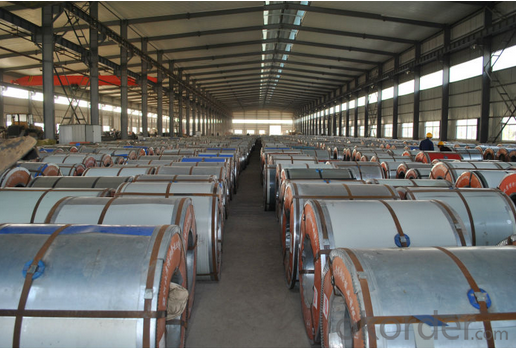 Customized Color Coated Galvanized PPGI Steel Coil/PPGL Roofing Sheets